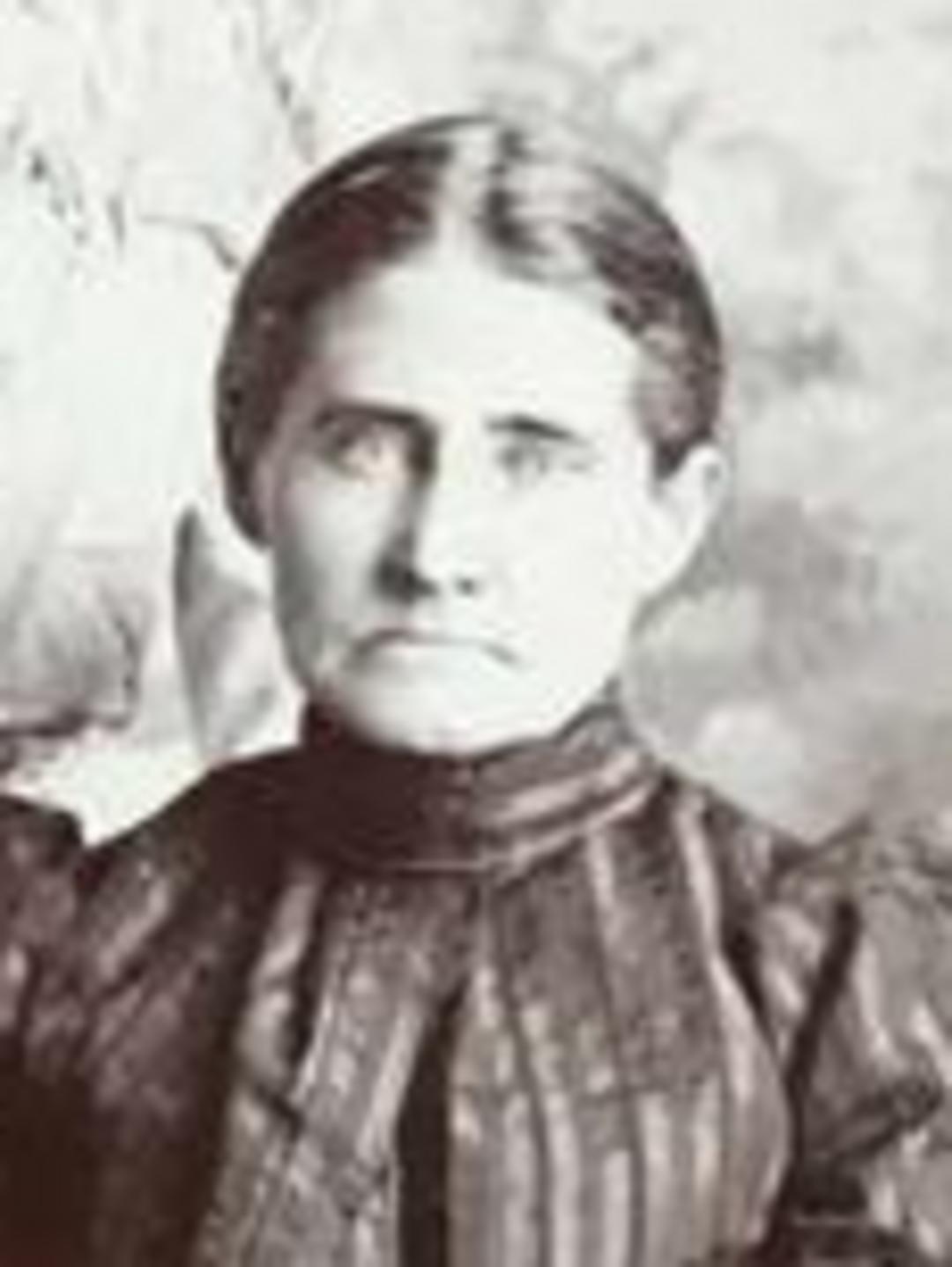 France Harriet Wiltshire (1851 - 1938) Profile